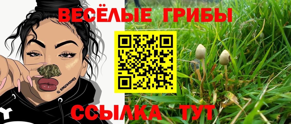 Галлюциногенные грибы мицелий  Вход с VPN  Елец  Галлюциногенные грибы Psilocybine cubensis 