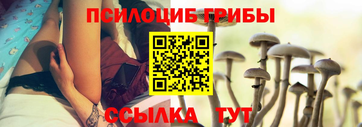 Галлюциногенные грибы MAGIC MUSHROOMS Елец
